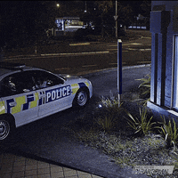 What We Do In The Shadows Comedy GIF by Wellington Paranormal