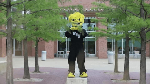 Wu_Shock giphyupload fight punch wsu GIF