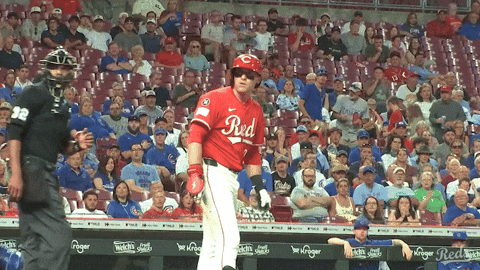 Baseball Omg GIF by Cincinnati Reds