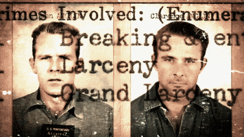 anglin brothers alcatraz search for the truth GIF by History UK