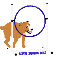 Border Collie Dog Sticker by Better Sporting Dogs