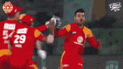 league cricket GIF by Islamabad United