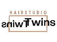 HairstudioTwins logo hairstudio hairstudiotwins studiotwins Sticker