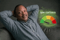 Low Cortisol GIF