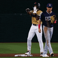 Celebration Baseball GIF by Sacramento River Cats