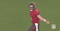 Nfl Wild Card Football GIF by NFL