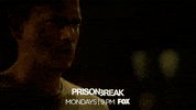 prison break fox GIF by FOXtvUK