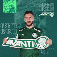 Happy Ze Rafael GIF by SE Palmeiras