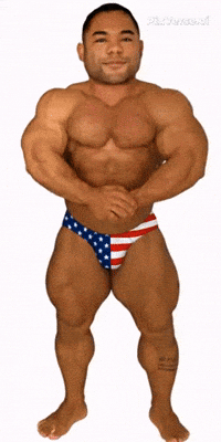 American Flag Usa GIF by Database數據