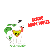 Rescue Adopt Foster Pj Petjuvenate Sticker by PetJuvenate - PJ