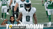 National Football League GIF by NFL