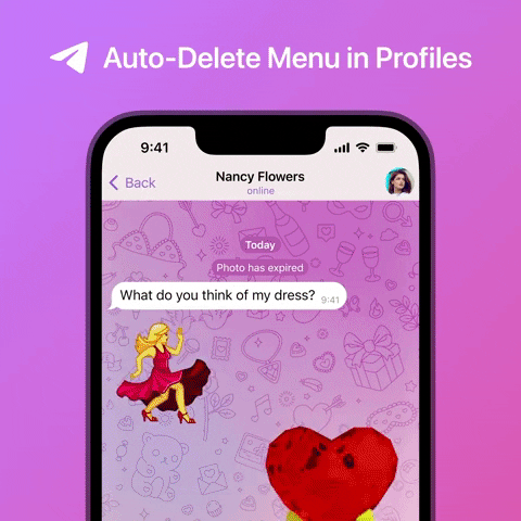 dwaipayansengupta giphyupload telegram newfeature autodelete GIF