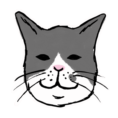 kappado giphyupload cat good 猫 Sticker