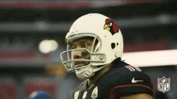 2018 Nfl Football GIF by NFL