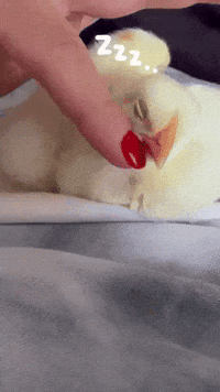 Sleeping GIF