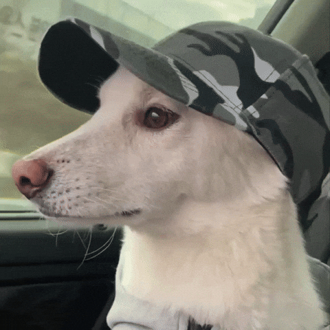 Eminem GIF