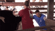baby cow GIF by truTV