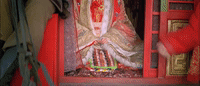 shen hua GIF