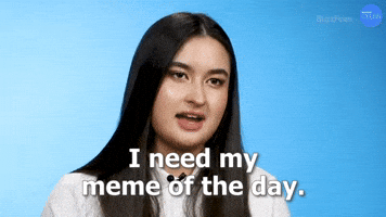 I Need My Meme of the Day