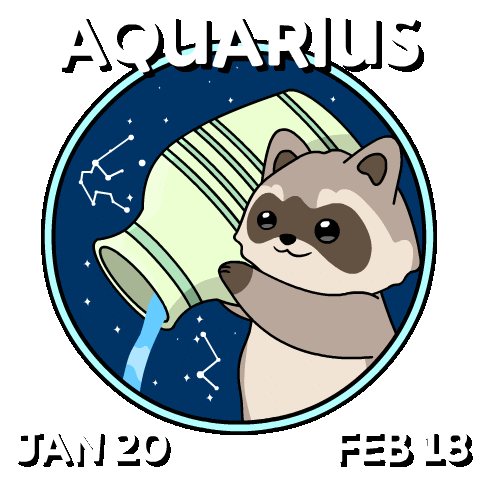 Bitcoin Raccoon Sticker by Ordinary Frends