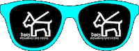 dogs sunglasses Sticker by Dan's Dog Walking & Pet Sitting
