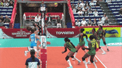 Argentina Dive GIF by Volleyball World
