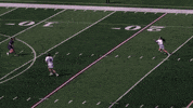 LafayetteLeopards goal lacrosse lafayette leopards GIF