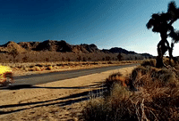 music video mv GIF by Lady Gaga