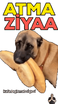Huseyin Ziya Sticker