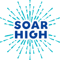 Soar High Sticker by BSM