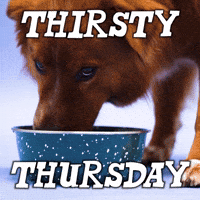 Thursday Drinking GIF by Sealed With A GIF