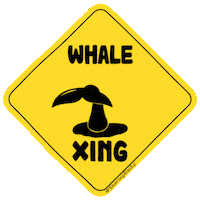 Bucket List Travel Sticker by Sharing Alaska
