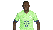 Komm Schon Hurry Up Sticker by VfL Wolfsburg