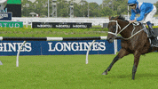 hugh bowman winner GIF by World Horse Racing