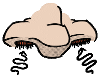 Hair Exercise Sticker