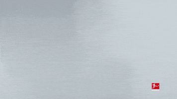 So What Reaction GIF by Bundesliga