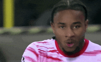 Champions League Football GIF by UEFA