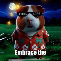 GIF by Guinea Gambino