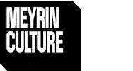 Noir Sticker by Meyrin culture