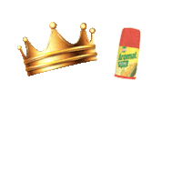 Spice Seasoning Sticker by Aromat South Africa