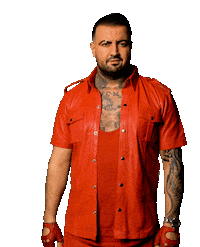 Ich Bin Ein Star Thumbs Down Sticker by RTLde