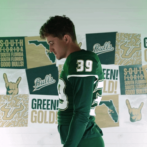 South Florida Horns Up GIF by USF Athletics