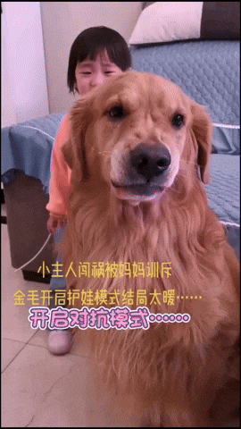 cuteanimalland giphyupload GIF