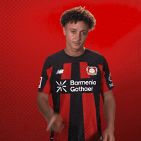 Bayer 04 Shut Up GIF by Bayer 04 Leverkusen