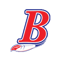 Boer Sticker by Indios del Bóer