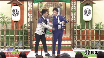 japan japanese comedy GIF