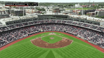 College Baseball GIF by NCAA Championships