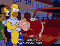 homer simpson episode 3 GIF