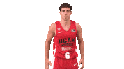 Basket Ucamcb Sticker by UCAM Universidad