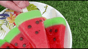 ExperimenMeatGrinder funny ice cream watermelon underground GIF
